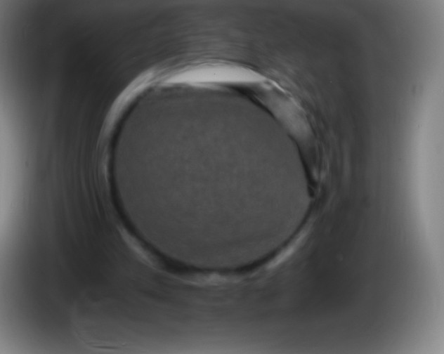 X0000085300197200703302008
