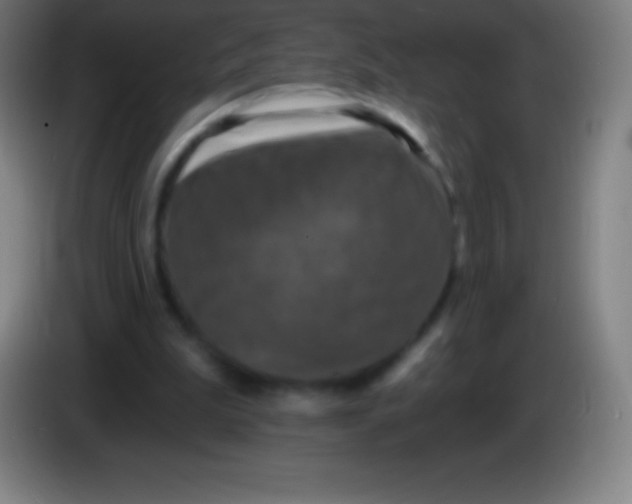 X0000085300199200703302008