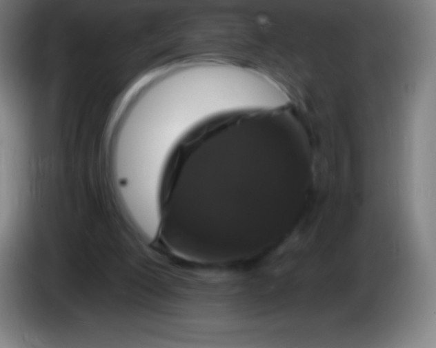 X0000085300200200703302008