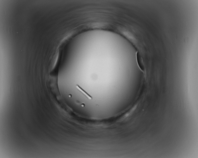 X0000085300201200703302008