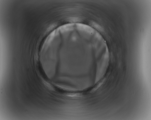X0000085300202200703302008