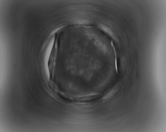 X0000085300203200703302008