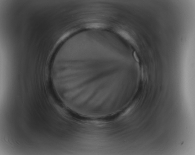 X0000085300204200703302008