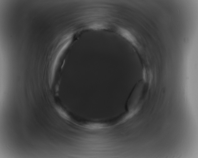 X0000085300205200703302008