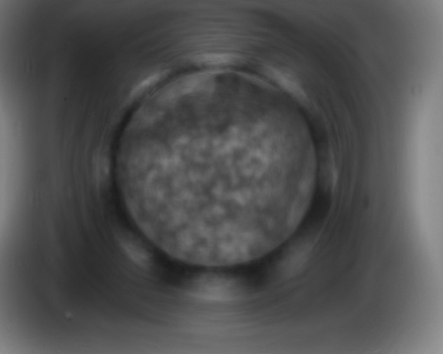 X0000085300207200703302008