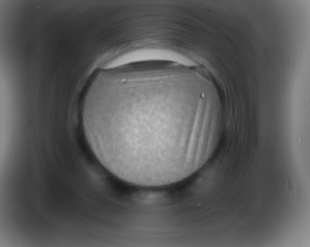 X0000085300208200703302008