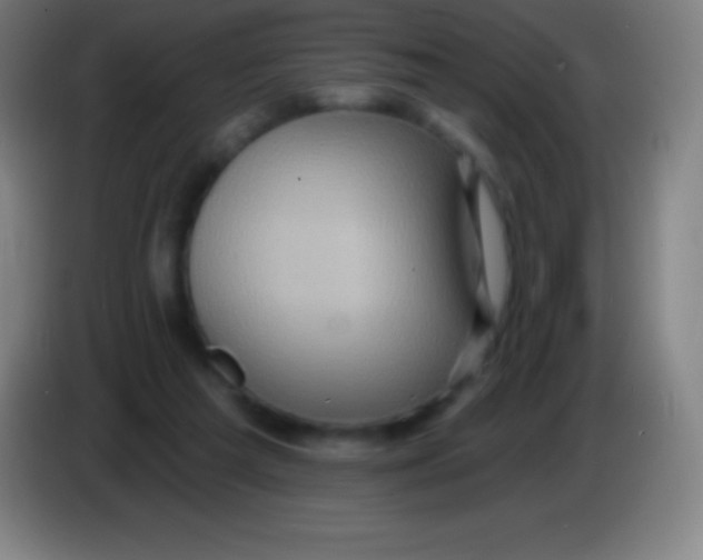 X0000085300209200703302008