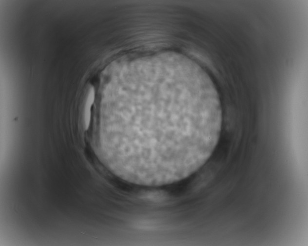 X0000085300210200703302008