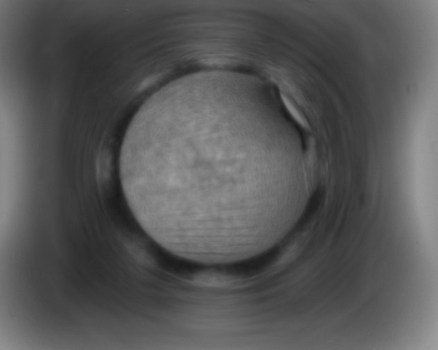 X0000085300211200703302008