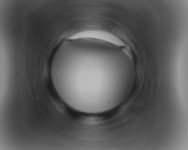 X0000085300212200703302008