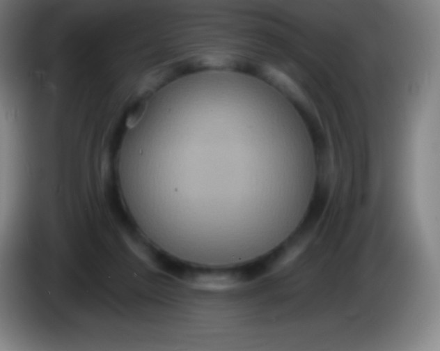 X0000085300213200703302008