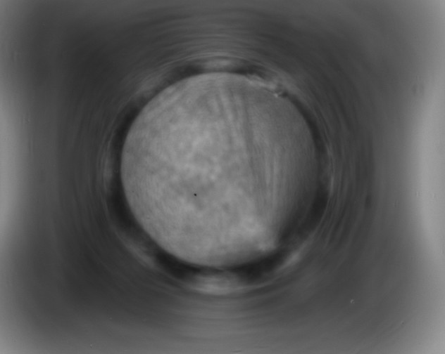 X0000085300215200703302008