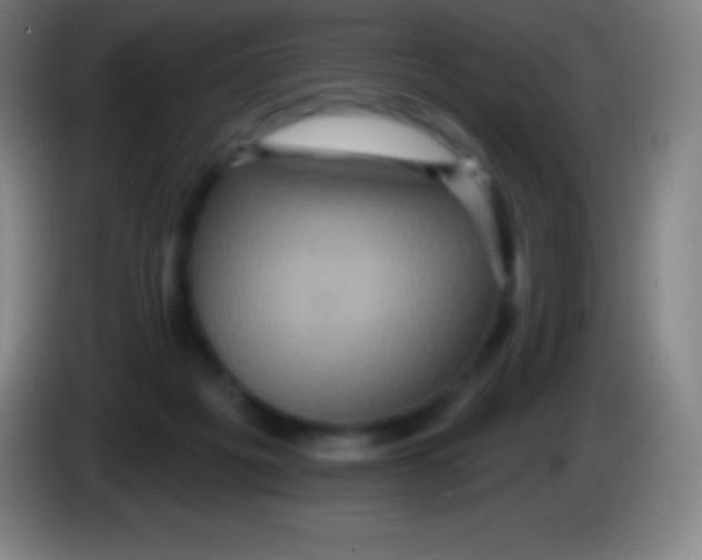 X0000085300217200703302008