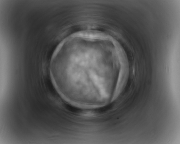 X0000085300218200703302008