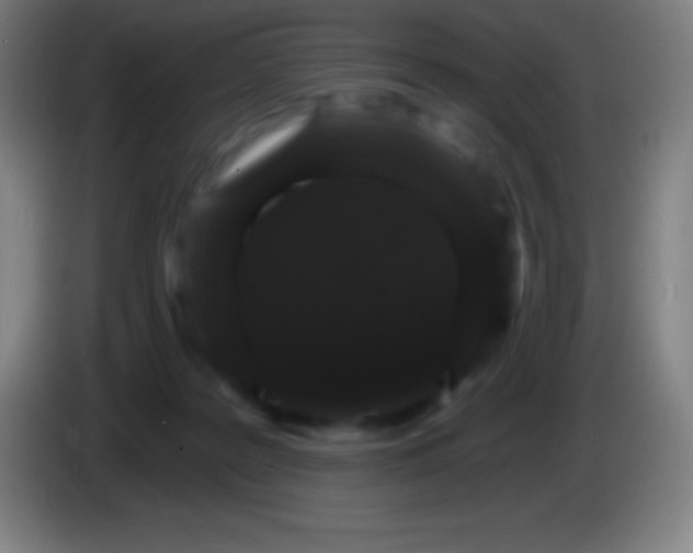 X0000085300219200703302008