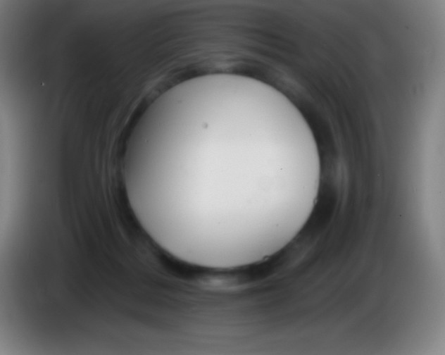 X0000085300220200703302008