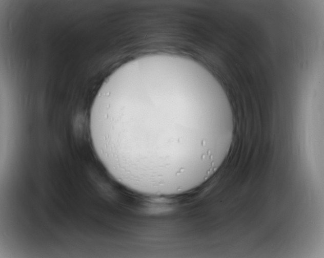 X0000085300222200703302008