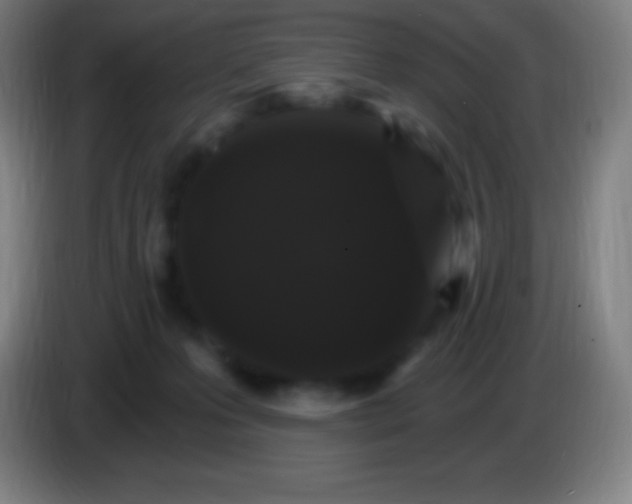 X0000085300223200703302008