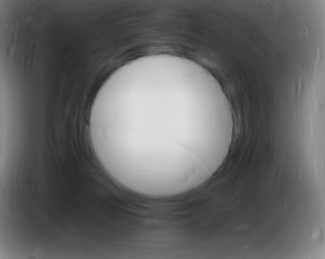 X0000085300226200703302008