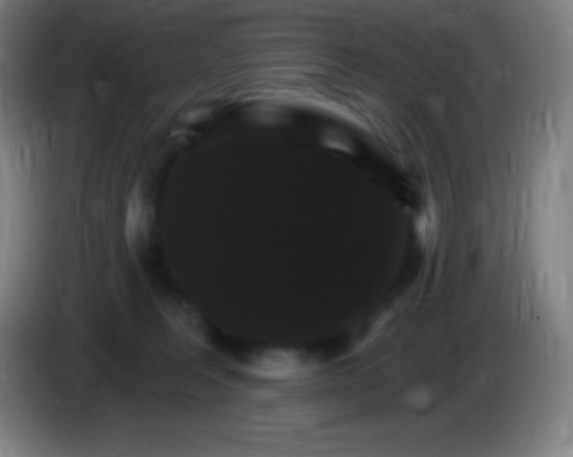 X0000085300227200703302008