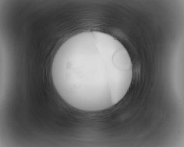 X0000085300228200703302008