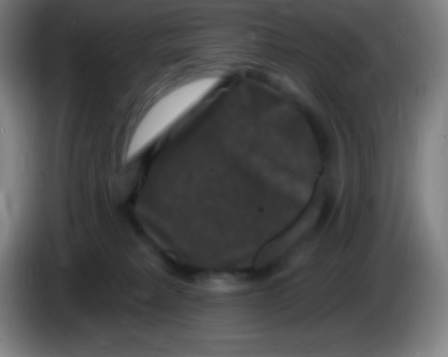 X0000085300229200703302008