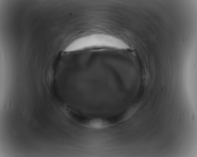 X0000085300231200703302008