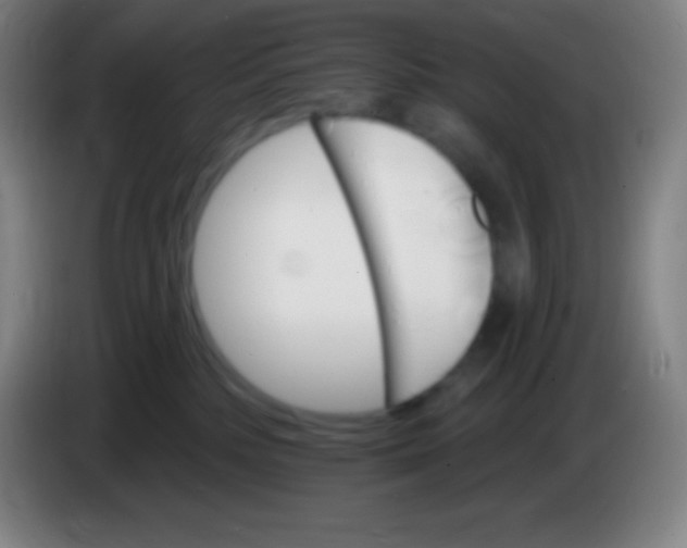 X0000085300232200703302008