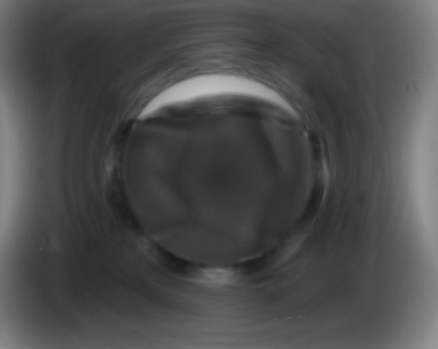 X0000085300233200703302008