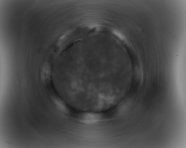 X0000085300234200703302008