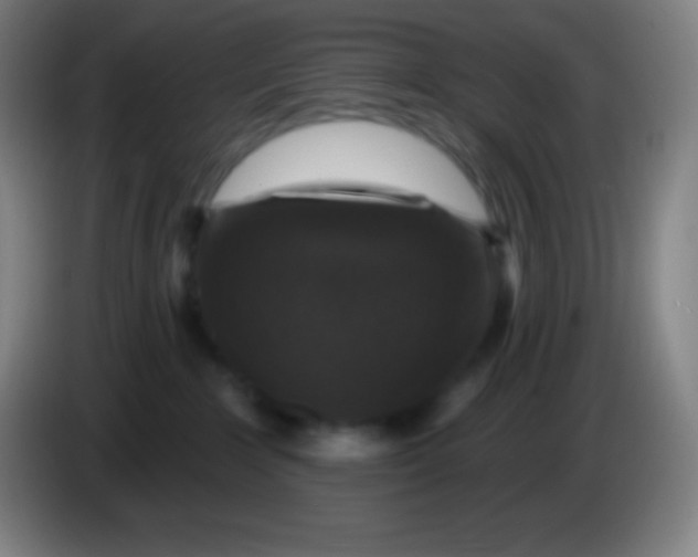 X0000085300235200703302008