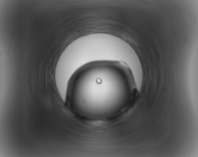 X0000085300237200703302008
