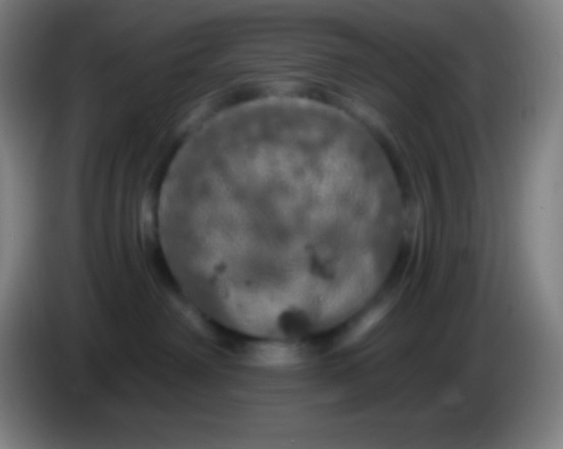 X0000085300238200703302008