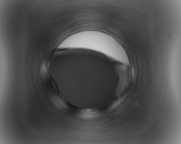 X0000085300239200703302008