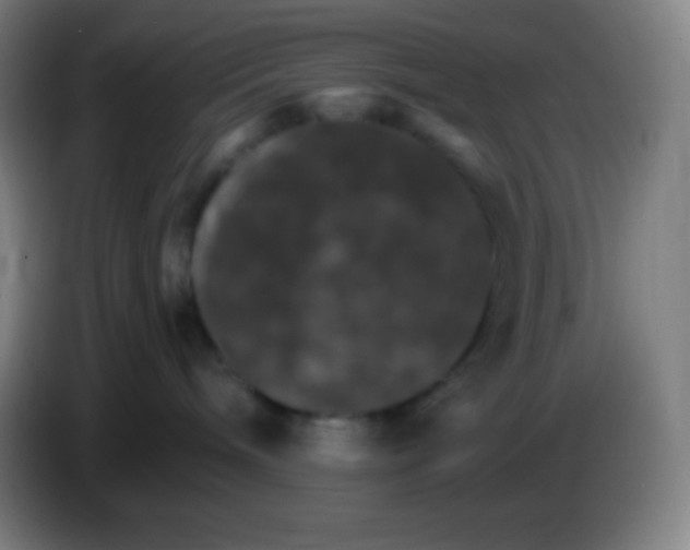 X0000085300240200703302008