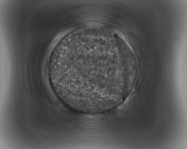 X0000085300241200703302007