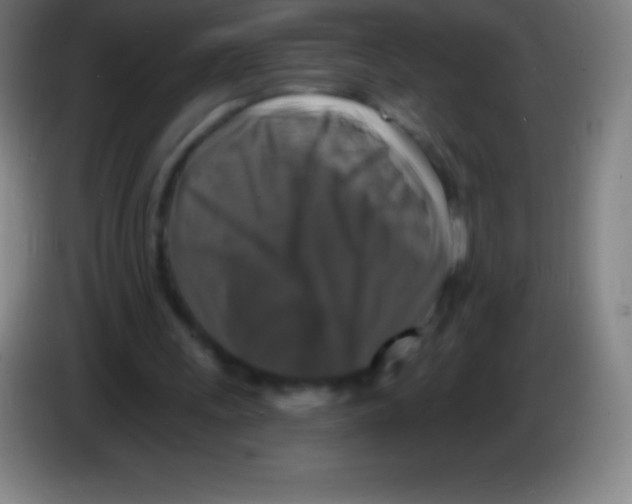 X0000085300243200703302007