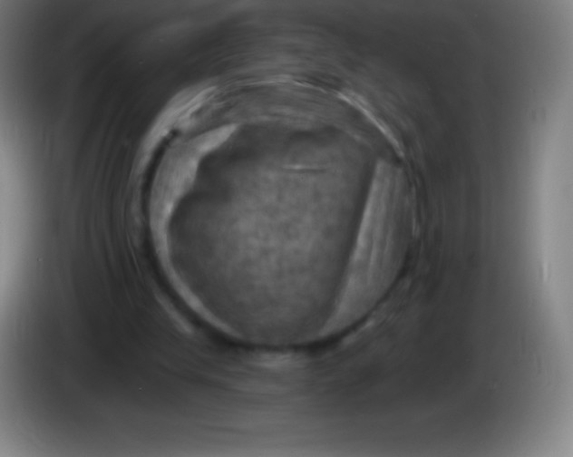 X0000085300245200703302007