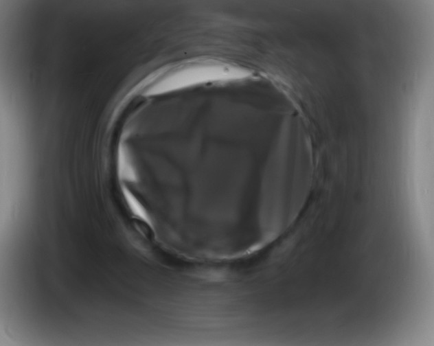X0000085300247200703302007