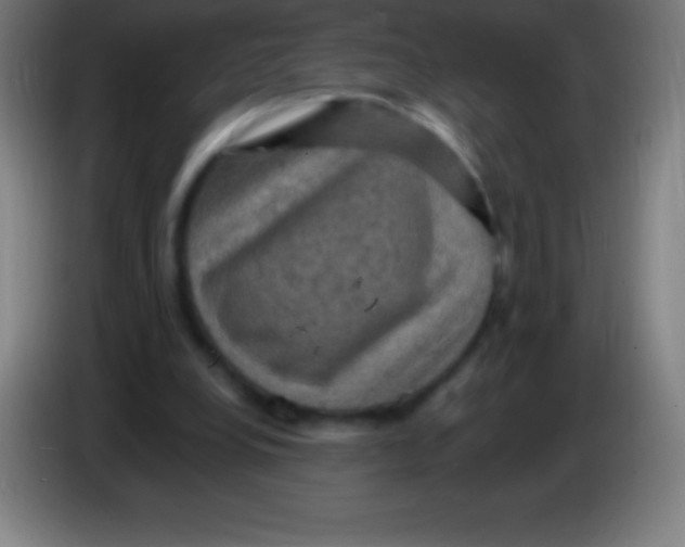 X0000085300248200703302007