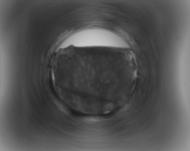 X0000085300250200703302007