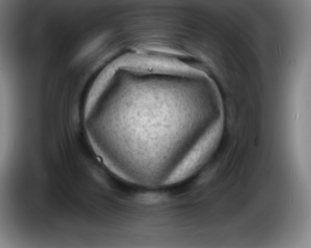 X0000085300251200703302007