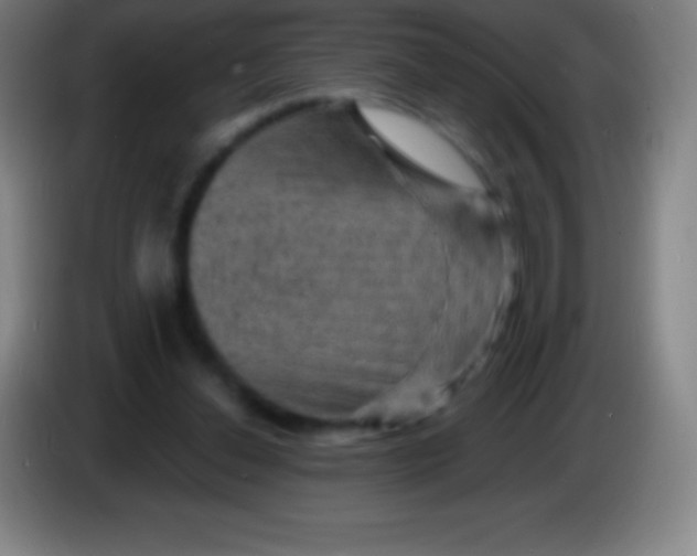 X0000085300252200703302007