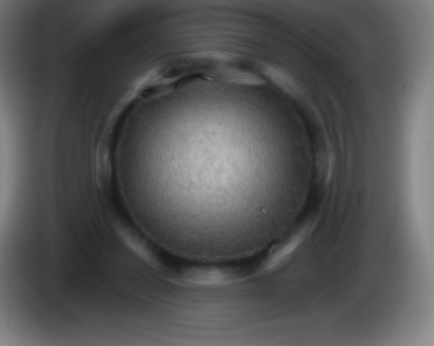 X0000085300254200703302007