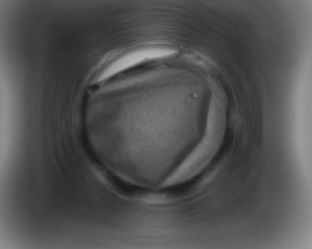 X0000085300256200703302007