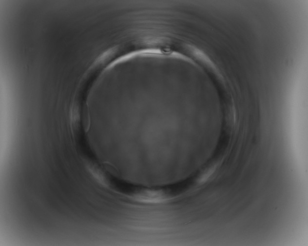 X0000085300260200703302007