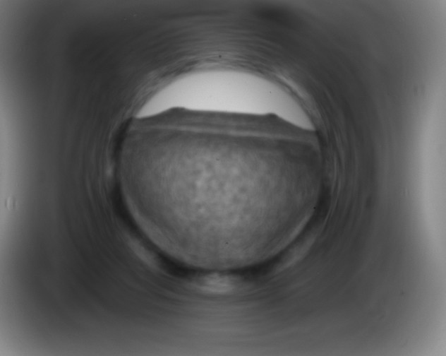 X0000085300261200703302007