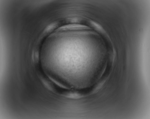 X0000085300262200703302007