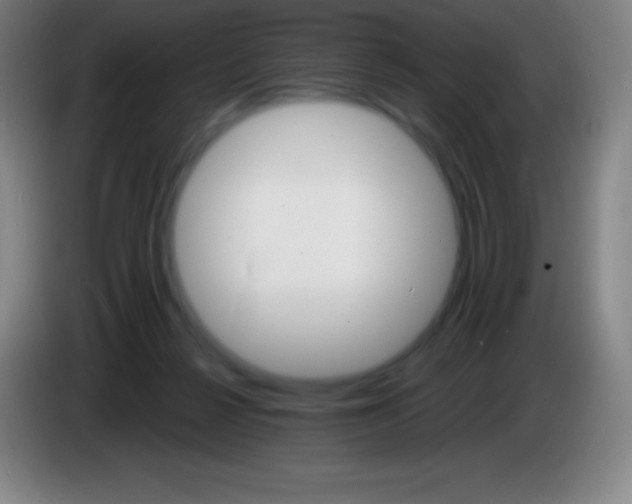 X0000085300264200703302007