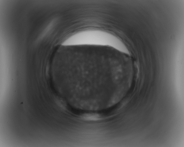 X0000085300266200703302007
